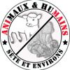 Logo of the association ANIMAUX&HUMAINS Sète et alentours